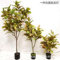 uploads/erp/collection/images/Home Garden/dgjiawang/XU0612638/img_b/XU0612638_img_b_1